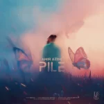 Amir Azimi – Pile