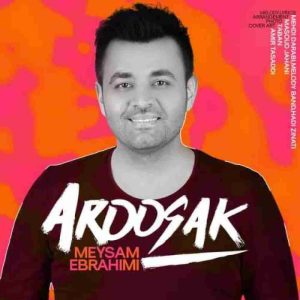 Meysam Ebrahimi – Aroosak (Live) (Video)