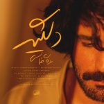 Erfan Tahmasebi – Delgir