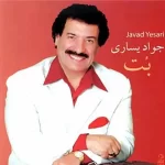 Javad Yasari – Bot