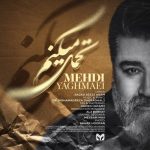 Mehdi Yaghmaee – Tahamol Mikonam