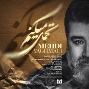 Mehdi Yaghmaee – Tahamol Mikonam