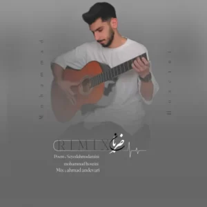 Mohammad Hosseini – Remix Zaraban