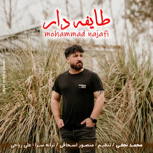 Mohammad Najafi – Tayefe Dar