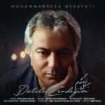 Mohammadreza Hedayati – Dalile Zendegim