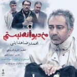 Mohammadreza Hedayati – Man Divaneh Nistam