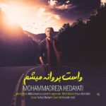 Mohammadreza Hedayati – Vasat Parvaneh Misham