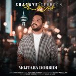 Mojtaba Dorbidi – Shabaye Tehroon