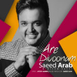 Saeed Arab – Are Divoonam