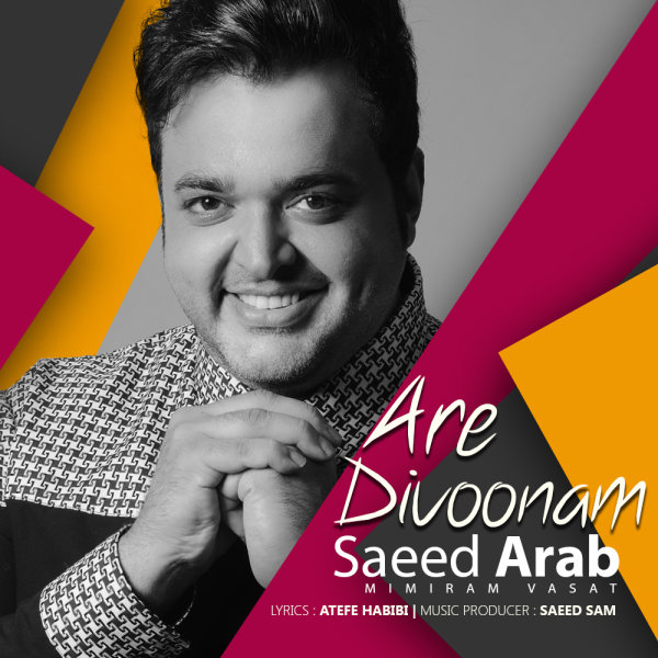Saeed Arab – Are Divoonam