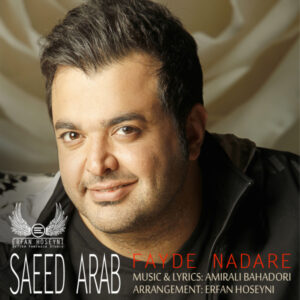 Saeed Arab – Fayde Nadare (Remix)