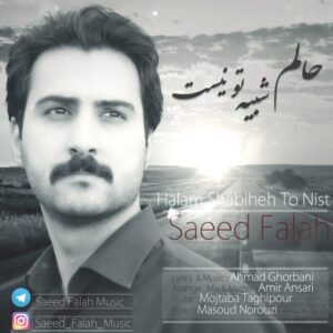 Saeed Fallah – Halam Shabihe To Nist