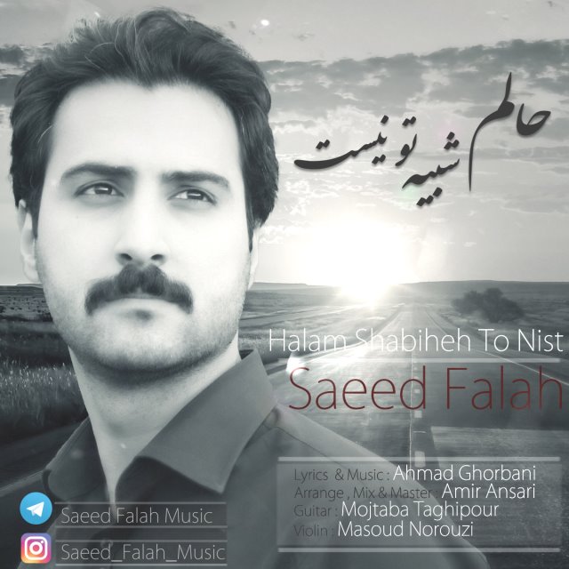 Saeed Fallah – Halam Shabihe To Nist