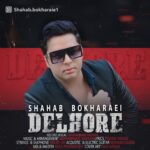 Shahab Bokharaee – Delhore
