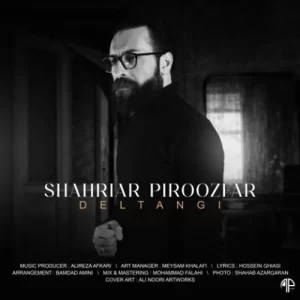 Shahriar Piroozfar – Deltangi