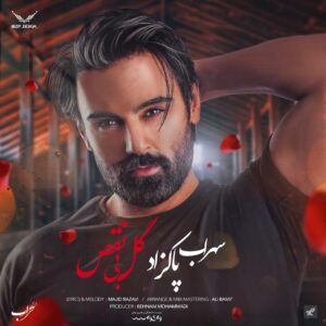 Sohrab Pakzad – Gole Bi Naghs