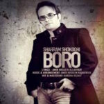 Shahram Shokoohi – Boro