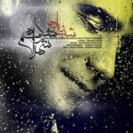 Shahram Shokoohi – Shab O Baroon