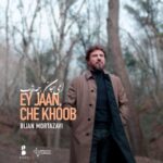 bijan mortazavi – ey jaan che khoob