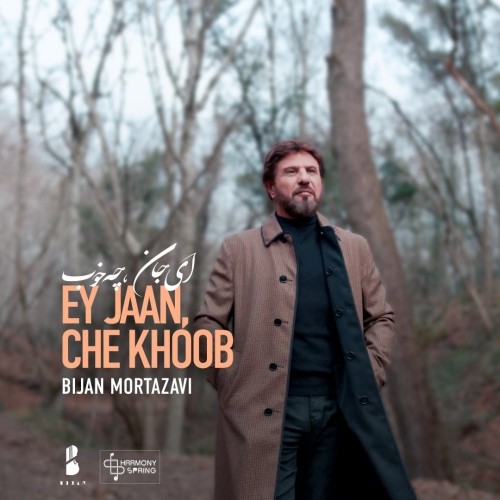 bijan mortazavi – ey jaan che khoob