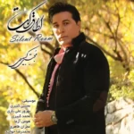 Mojtaba Kabiri – Otaghe Saket