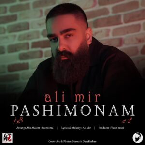 Ali Mir – Pashimoonam