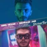 Amin Hesam Ft Mehrad Jam  –  Divoone Tar