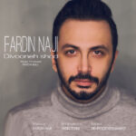 Fardin Naji – Divooneh Shod