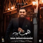 sina derakhshande – hamsaye