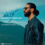 Behroz Nazari – Gol Nazdarom