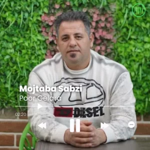 Mojtaba Sabzipoor – Gelara