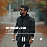 Reza Hajivand – Zalem