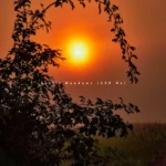 Zoe Sutherland – Sunlit Meadows (528 Hz)